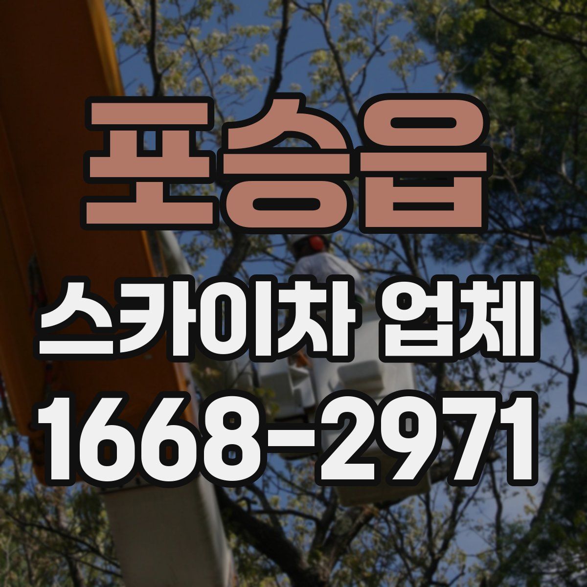 포승읍 스카이차 업체