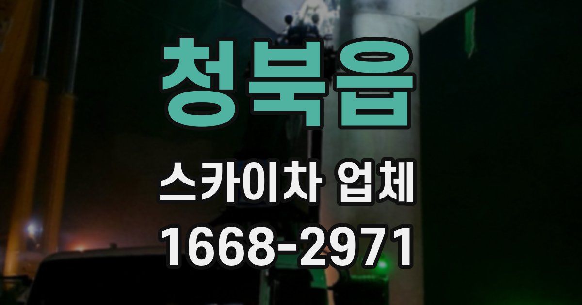 청북읍 스카이차 업체