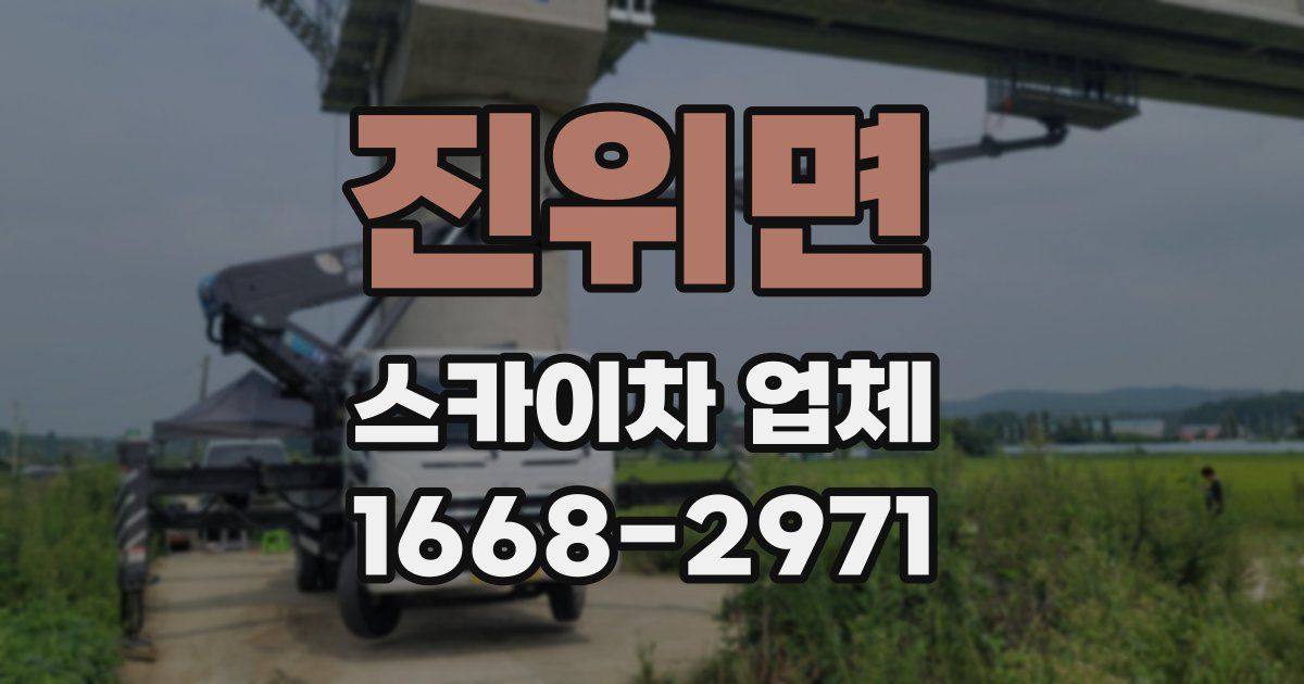 진위면 스카이차 업체