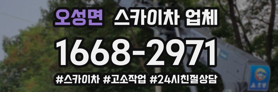 오성면 스카이차 업체