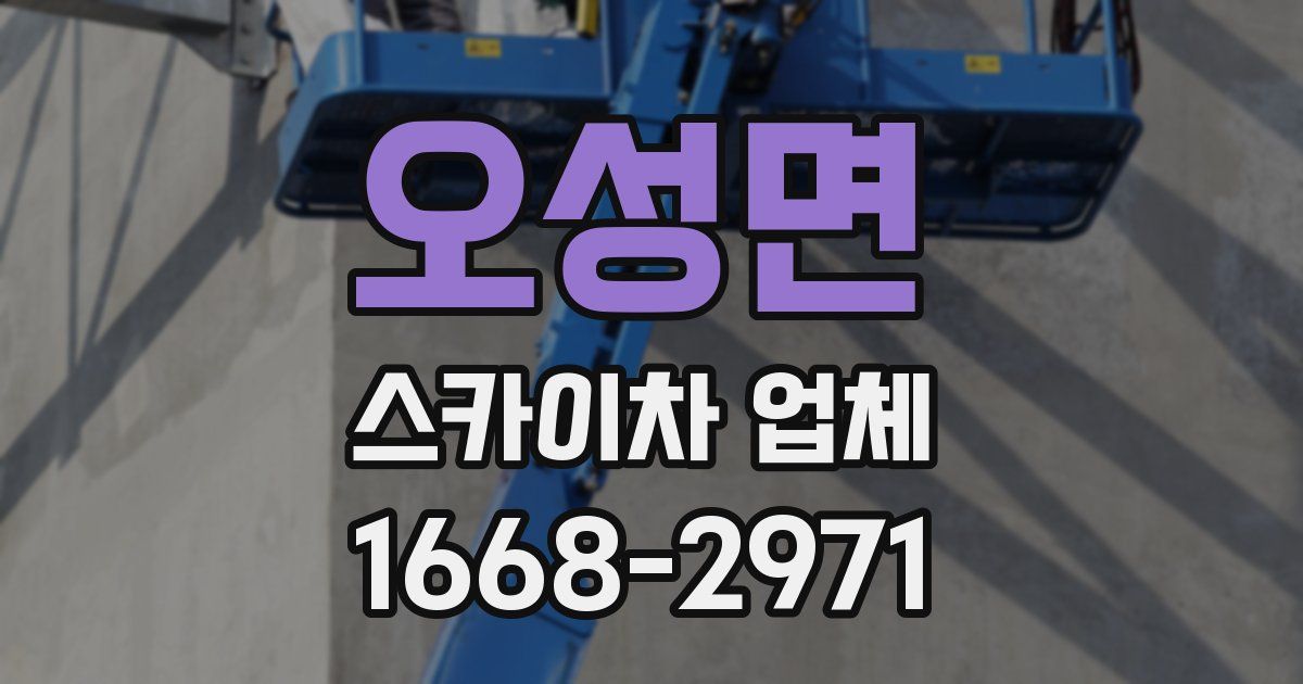 오성면 스카이차 업체