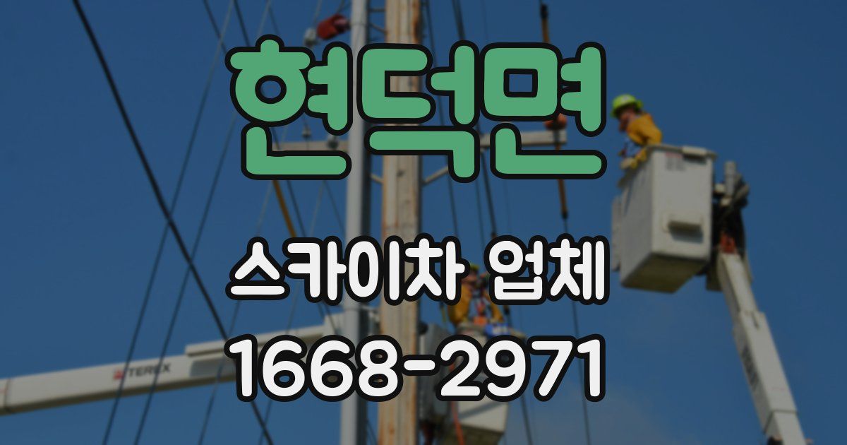 현덕면 스카이차 업체