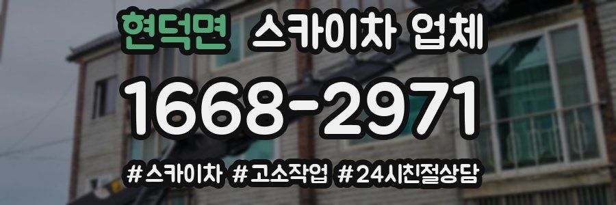 현덕면 스카이차 업체