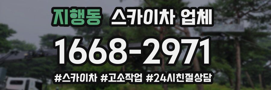 지행동 스카이차 업체