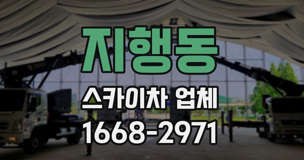 지행동 스카이차 업체