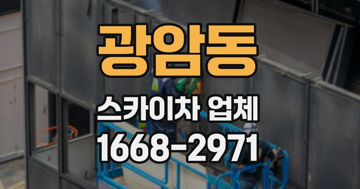 광암동 스카이차 업체