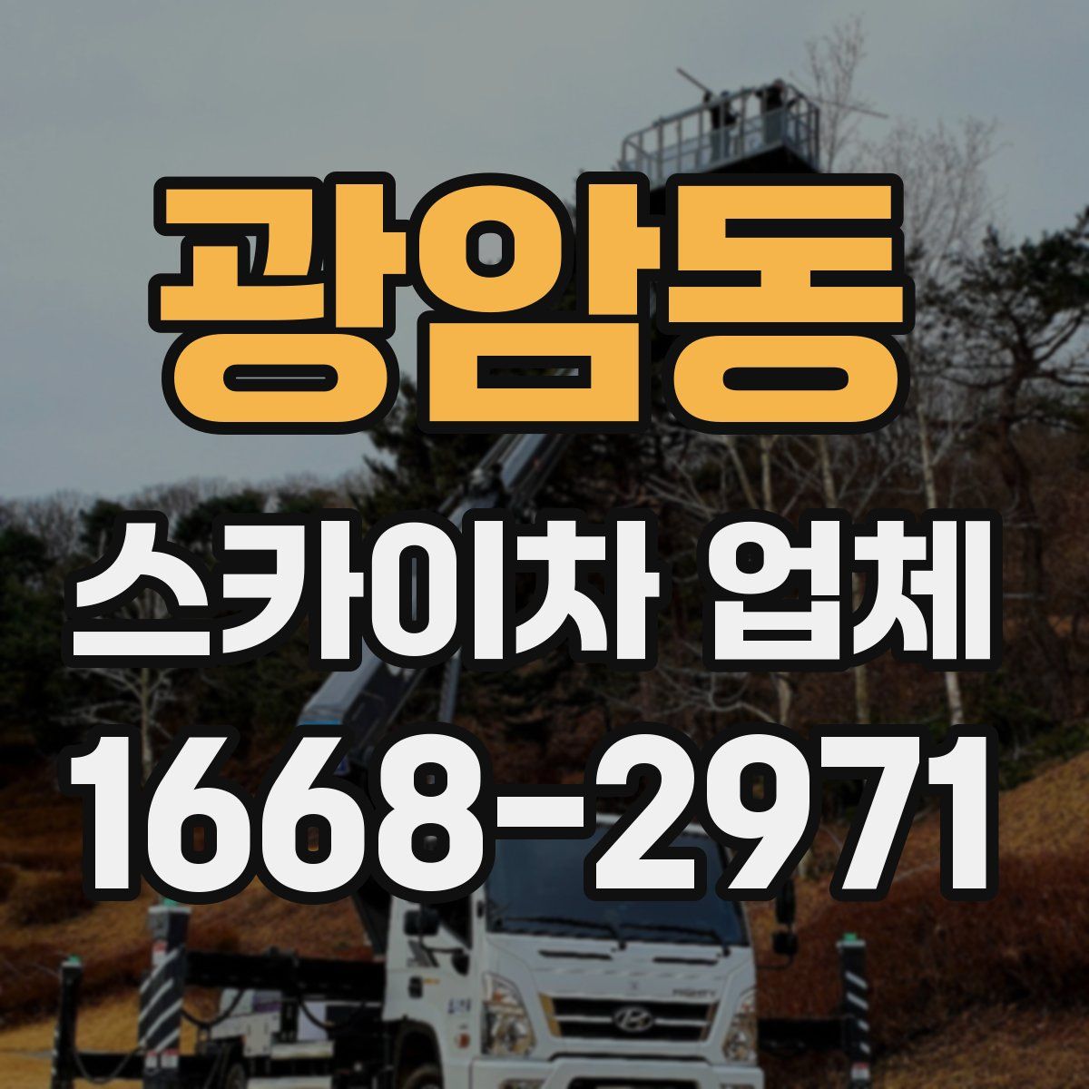 광암동 스카이차 업체