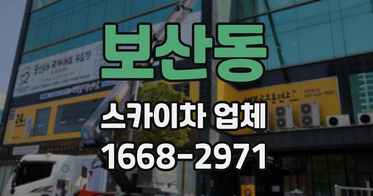 보산동 스카이차 업체
