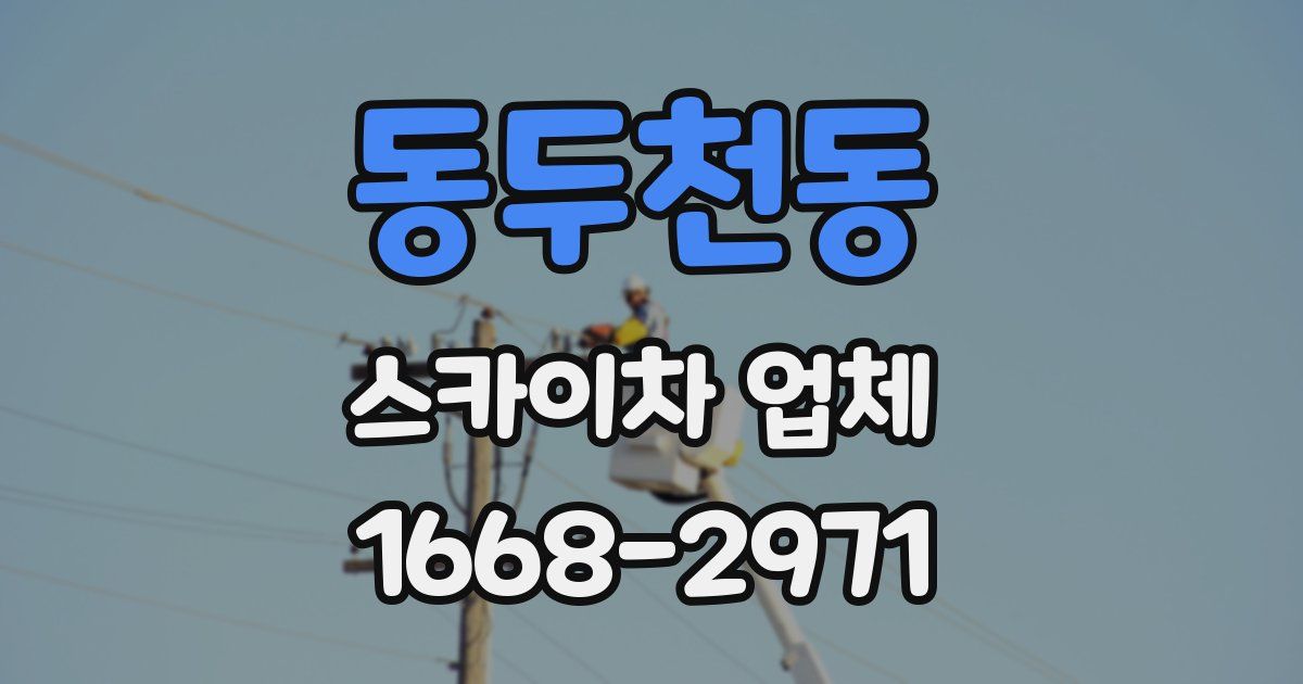 동두천동 스카이차 업체
