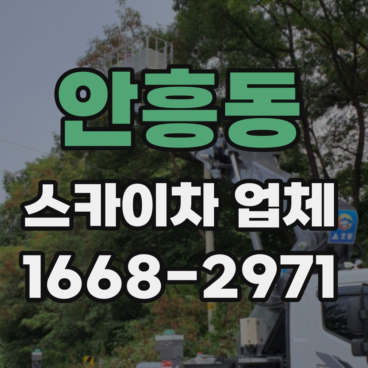 안흥동 스카이차 업체