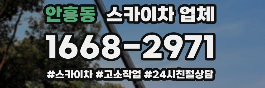 안흥동 스카이차 업체