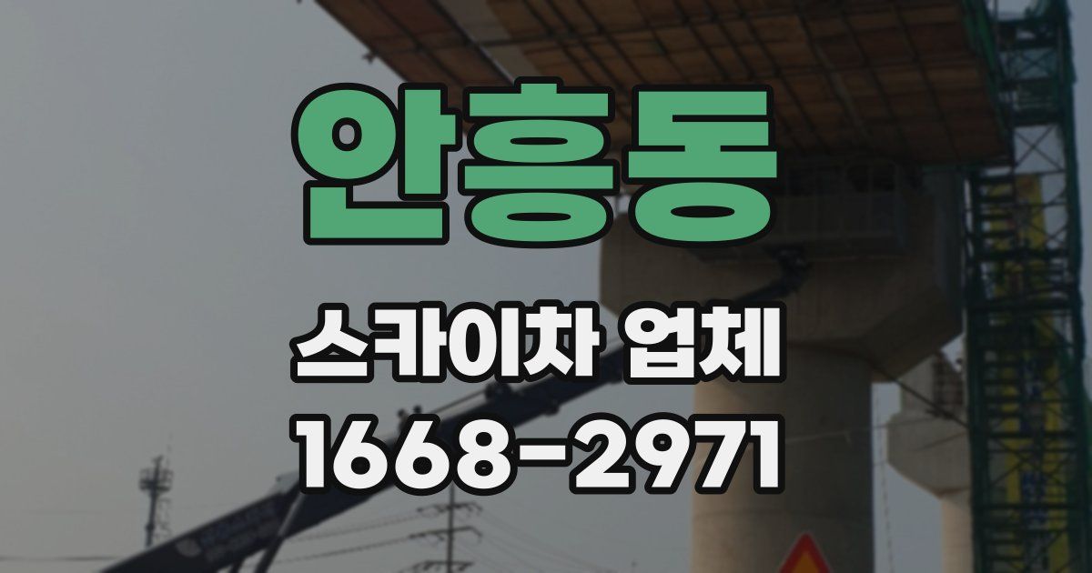 안흥동 스카이차 업체