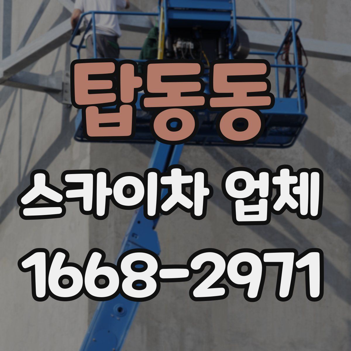 탑동동 스카이차 업체
