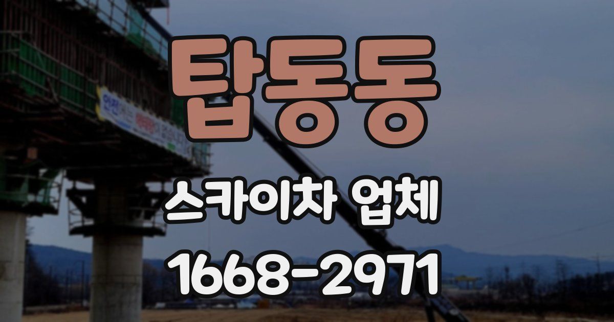 탑동동 스카이차 업체