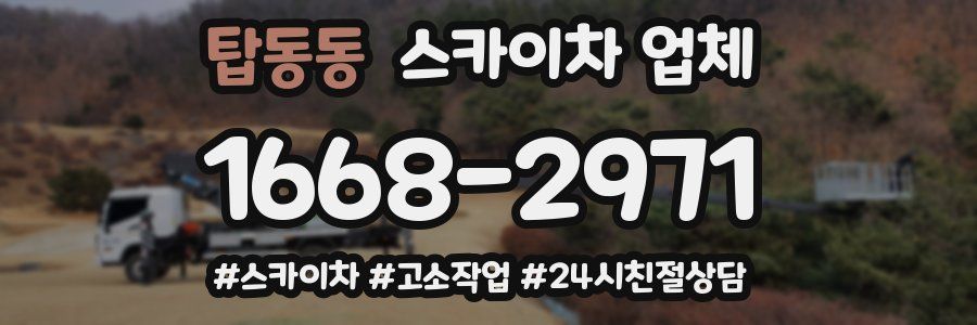 탑동동 스카이차 업체