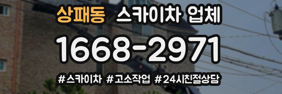 상패동 스카이차 업체