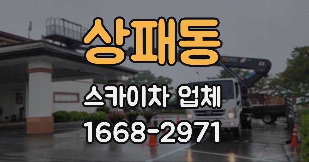 상패동 스카이차 업체