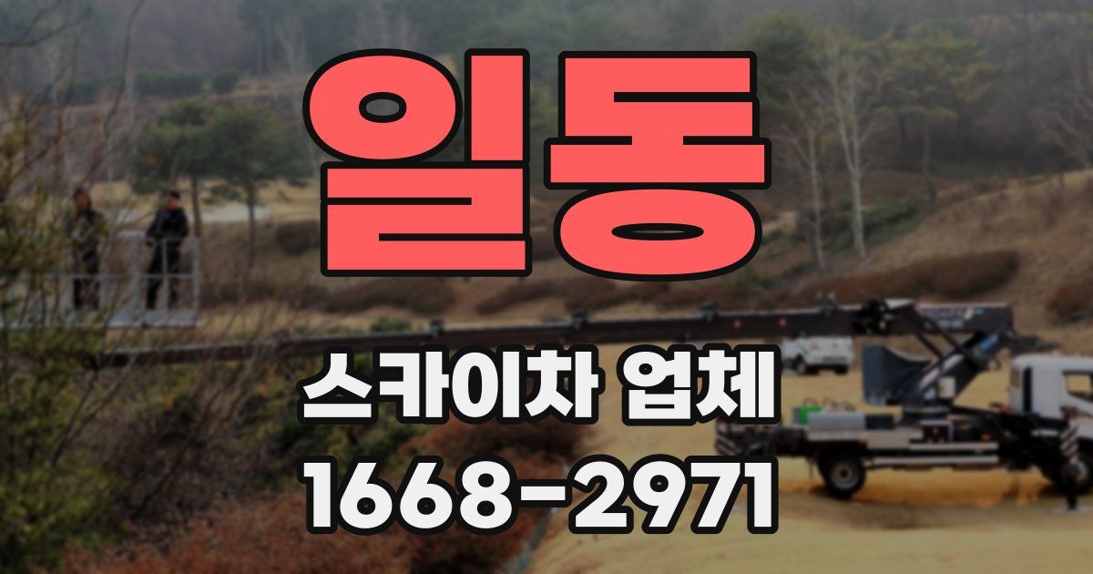 일동 스카이차 업체