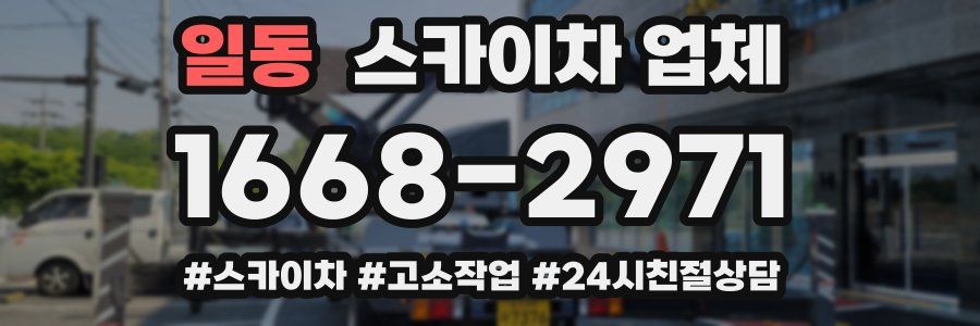 일동 스카이차 업체