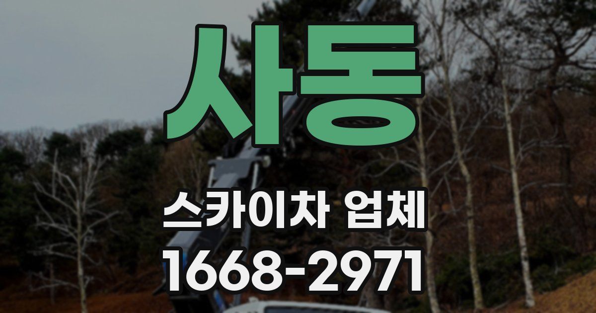 사동 스카이차 업체