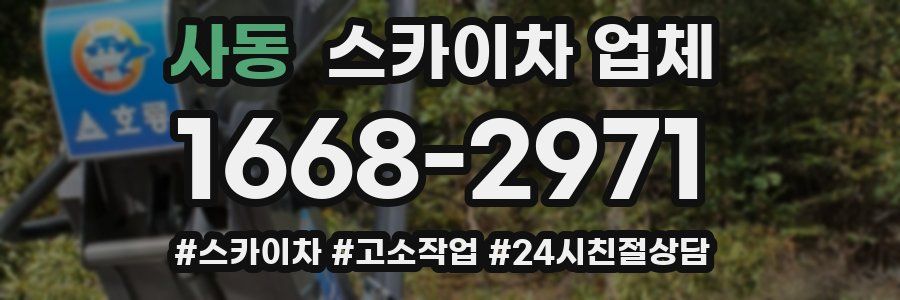 사동 스카이차 업체