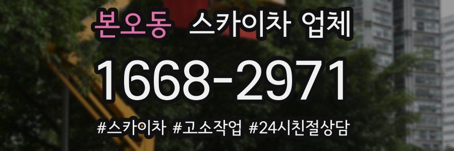 본오동 스카이차 업체