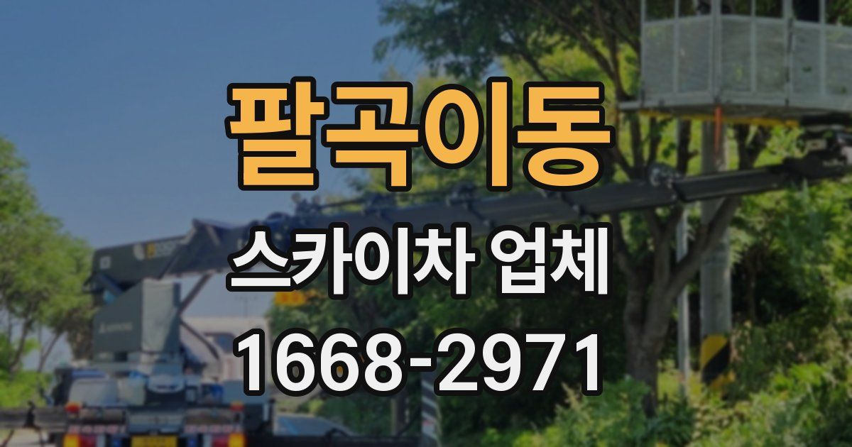 팔곡이동 스카이차 업체