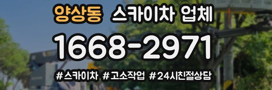 양상동 스카이차 업체
