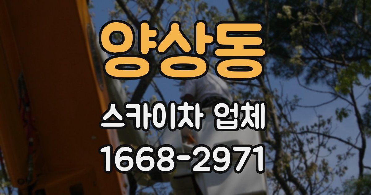 양상동 스카이차 업체