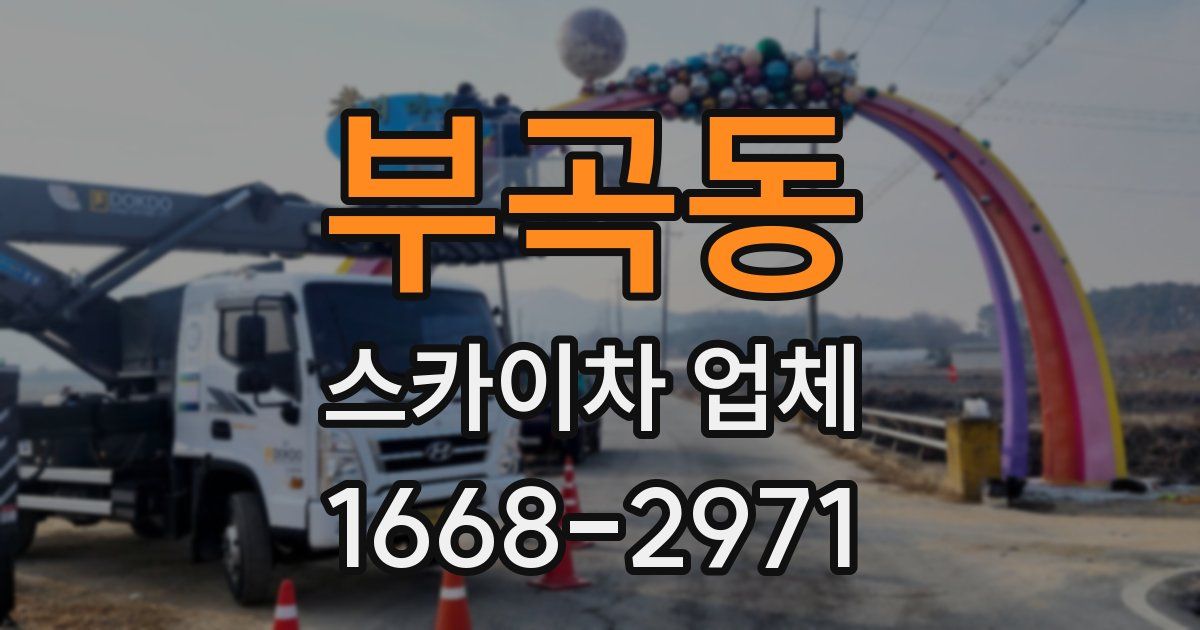 부곡동 스카이차 업체