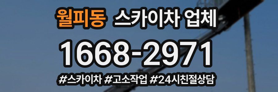 월피동 스카이차 업체