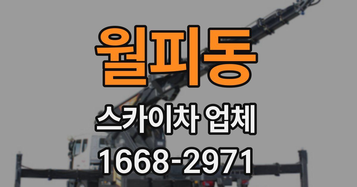 월피동 스카이차 업체