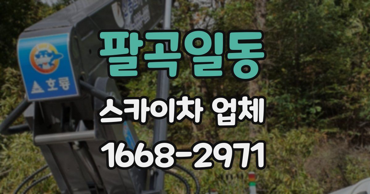 팔곡일동 스카이차 업체