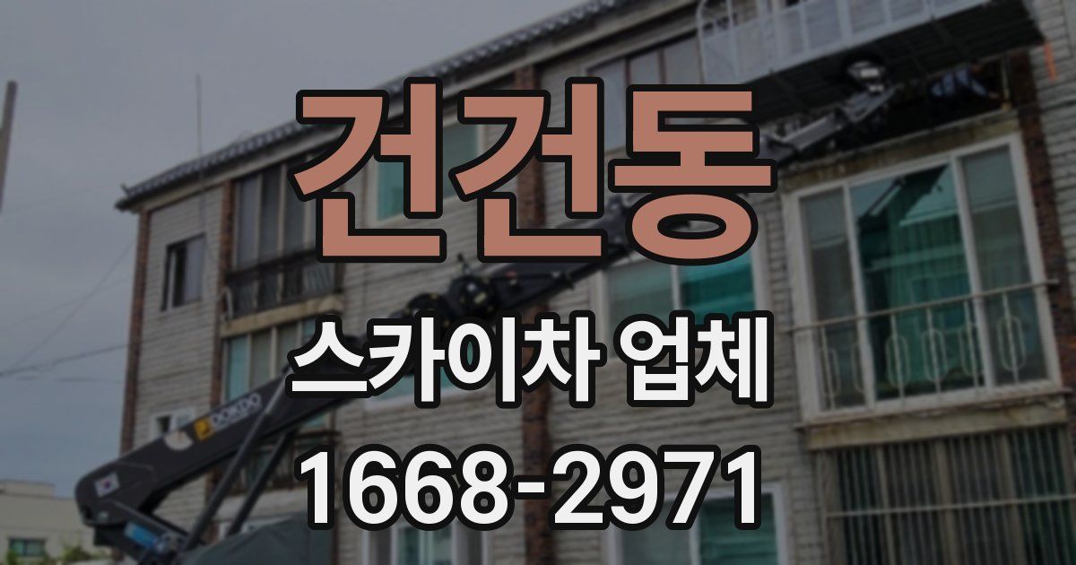 건건동 스카이차 업체