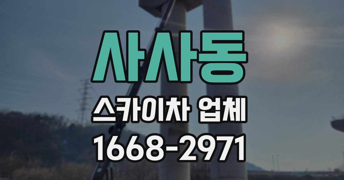 사사동 스카이차 업체