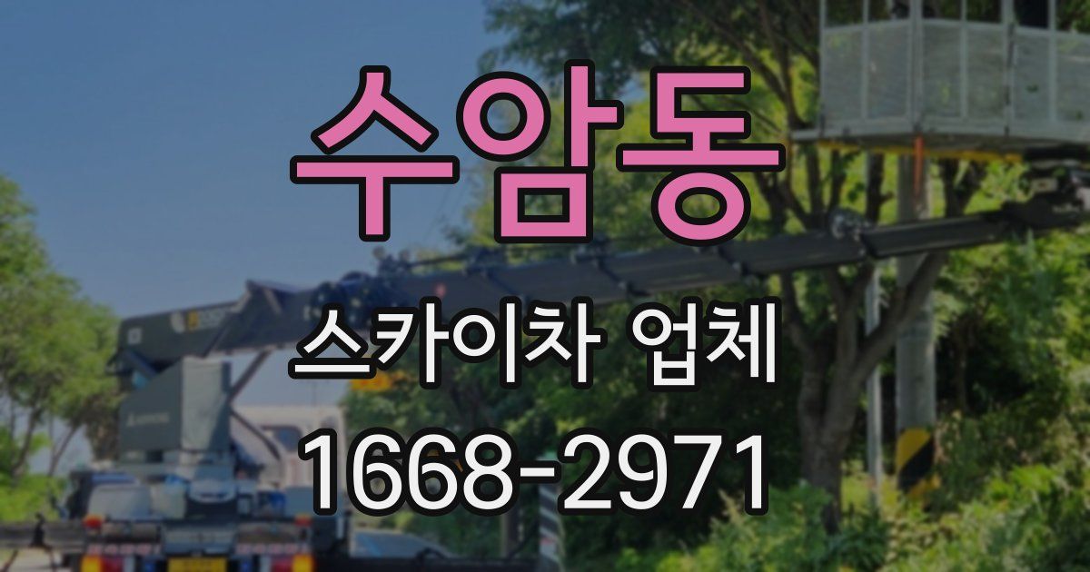 수암동 스카이차 업체