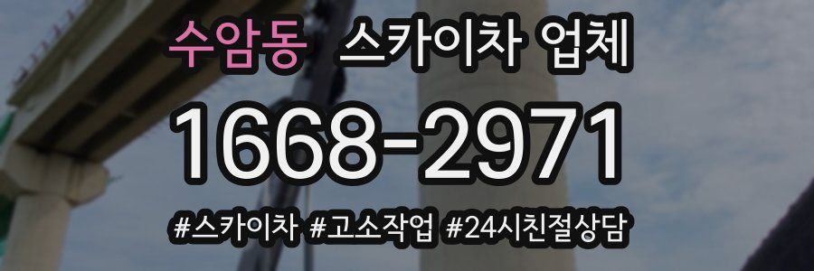 수암동 스카이차 업체
