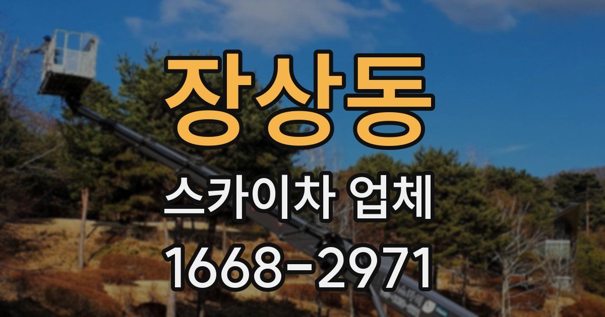 장상동 스카이차 업체