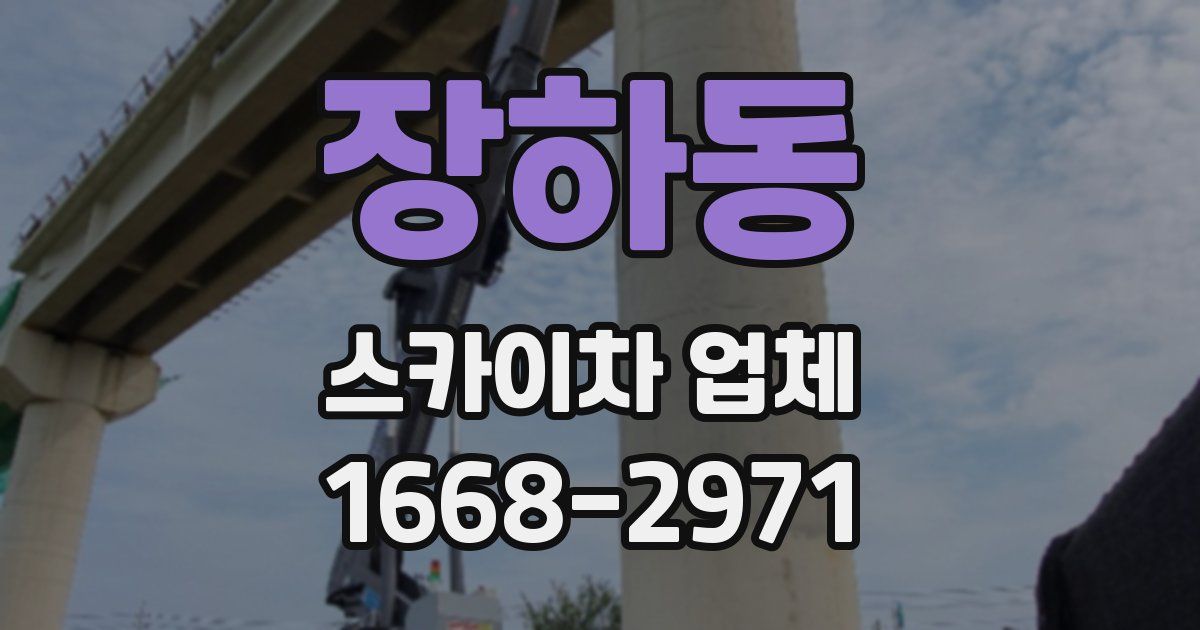 장하동 스카이차 업체