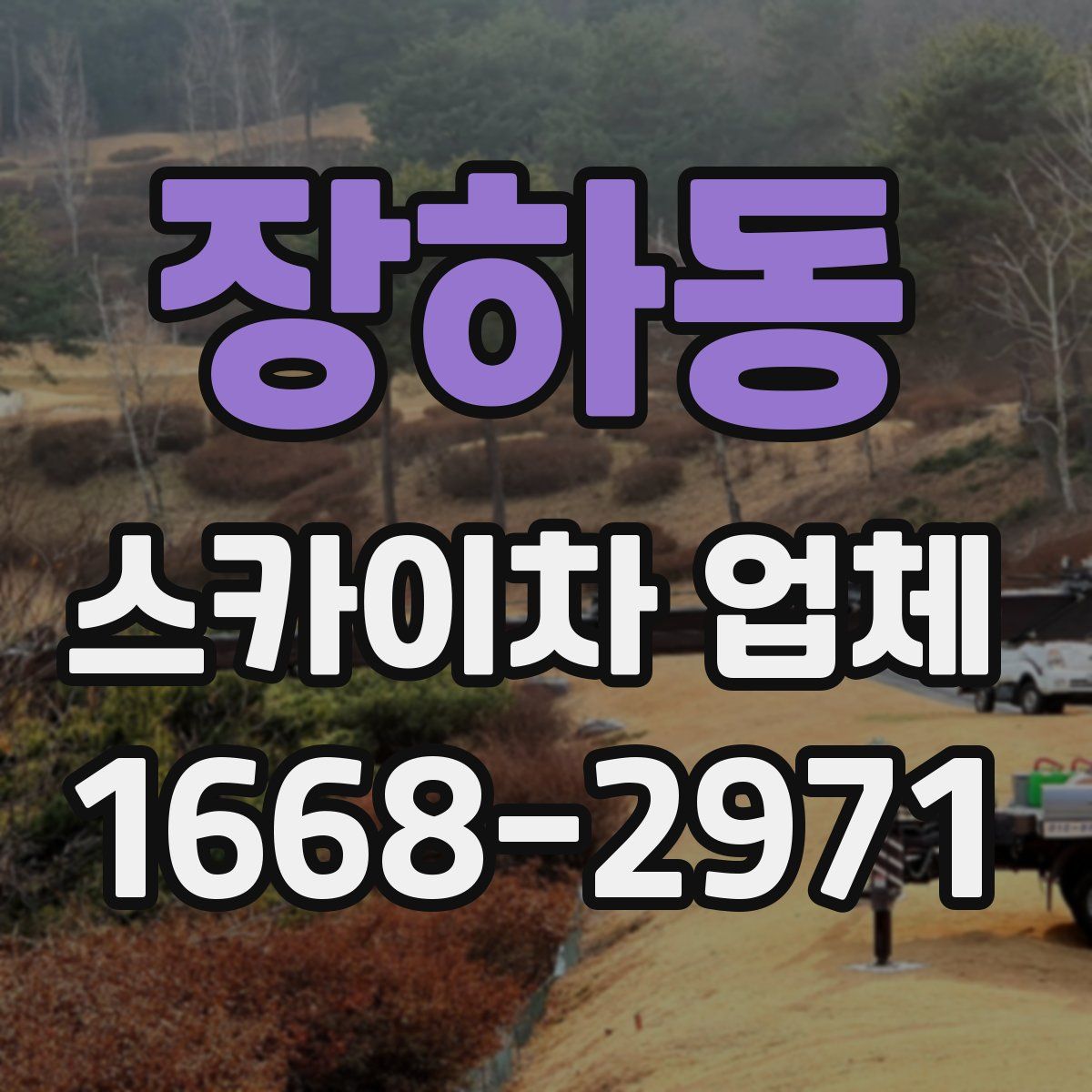 장하동 스카이차 업체