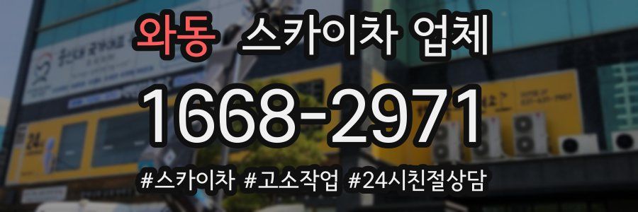 와동 스카이차 업체