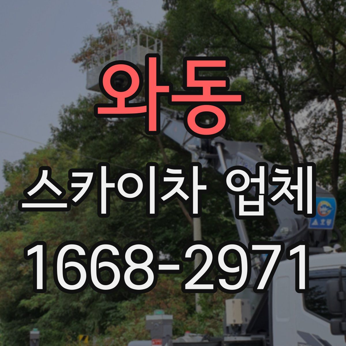 와동 스카이차 업체