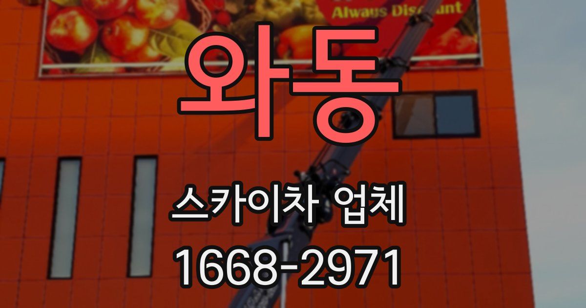 와동 스카이차 업체