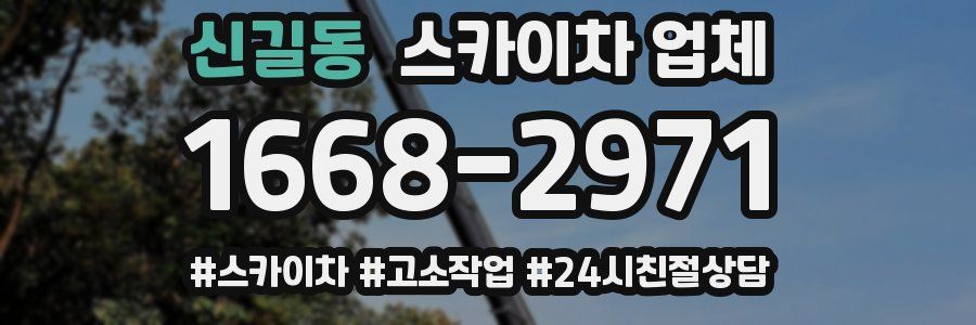 신길동 스카이차 업체