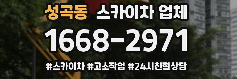 성곡동 스카이차 업체