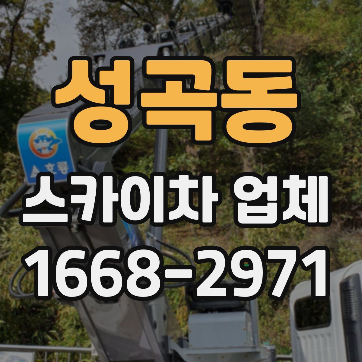 성곡동 스카이차 업체