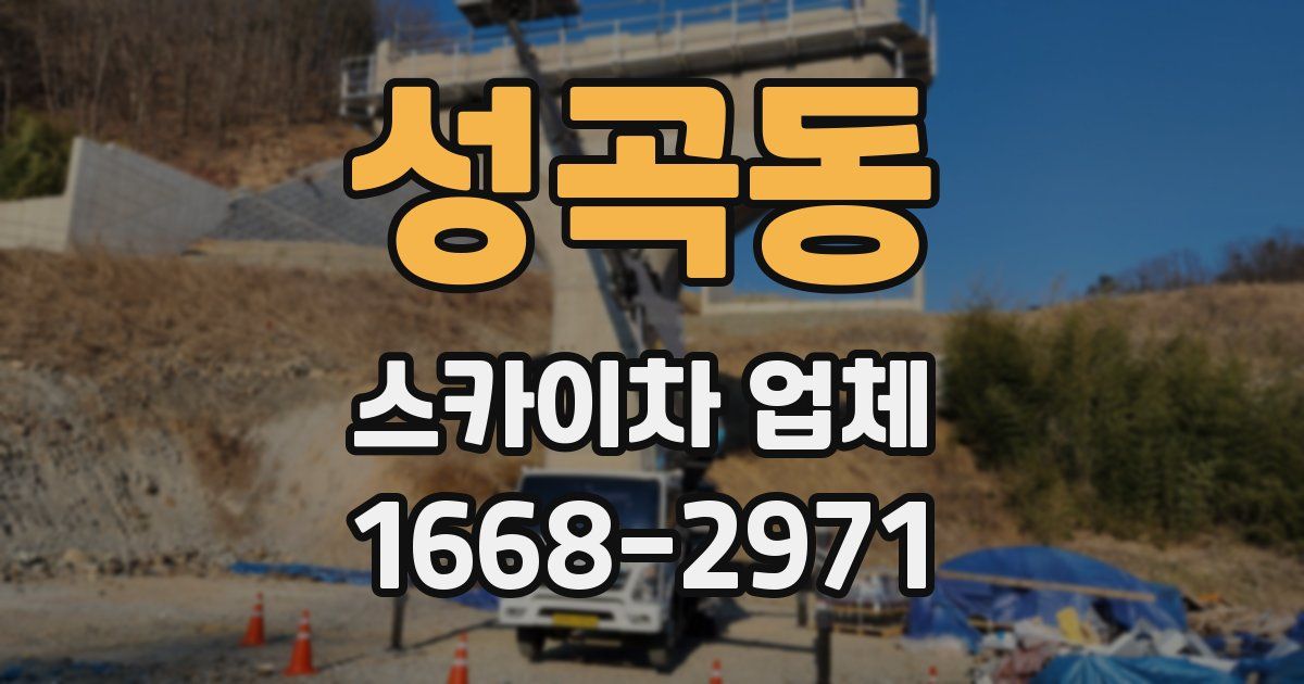 성곡동 스카이차 업체