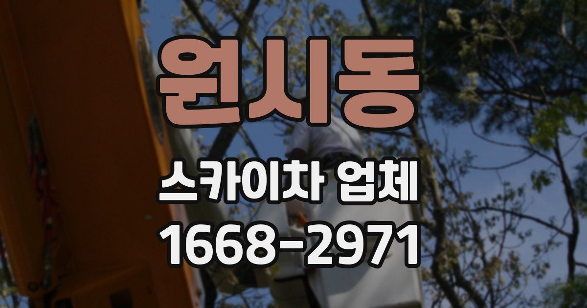 원시동 스카이차 업체