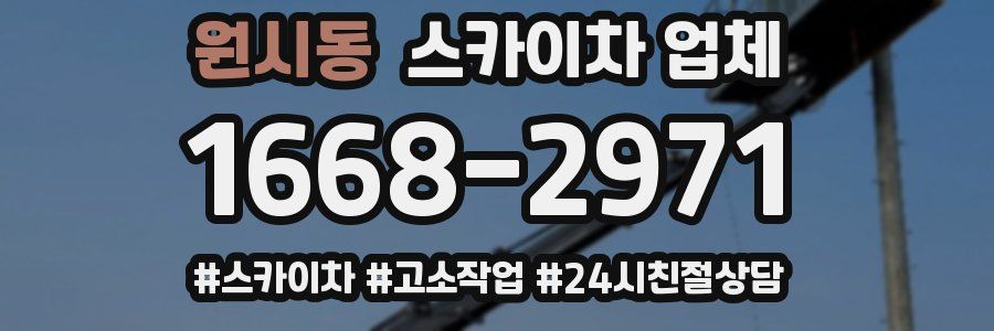원시동 스카이차 업체