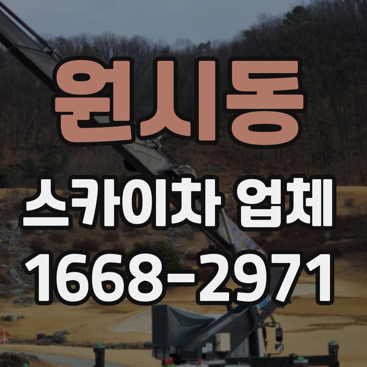 원시동 스카이차 업체